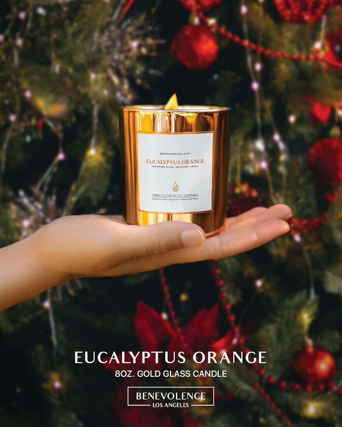 Benevolence Candles Eucalyptus Orange Wood Wick Candles, Soy Scented Candles for Women | 8 Oz Scented Candles for Home Scented | Eucalyptus Candles | Christmas Candles | Men Candles, Bathroom Candle